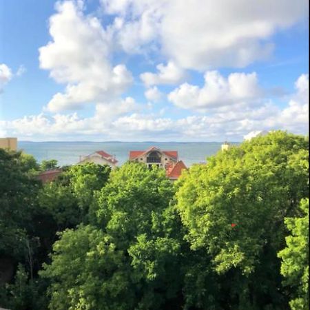 Appartement Vue Sur Baie Et Ocean, 100 M De La Plage Et Du Centre Par Chemin Prive Arcachon Exteriör bild