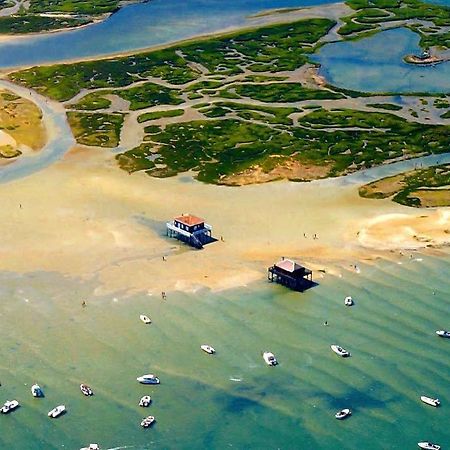 Appartement Vue Sur Baie Et Ocean, 100 M De La Plage Et Du Centre Par Chemin Prive Arcachon Exteriör bild