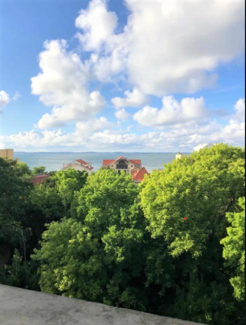 Appartement Vue Sur Baie Et Ocean, 100 M De La Plage Et Du Centre Par Chemin Prive Arcachon Exteriör bild