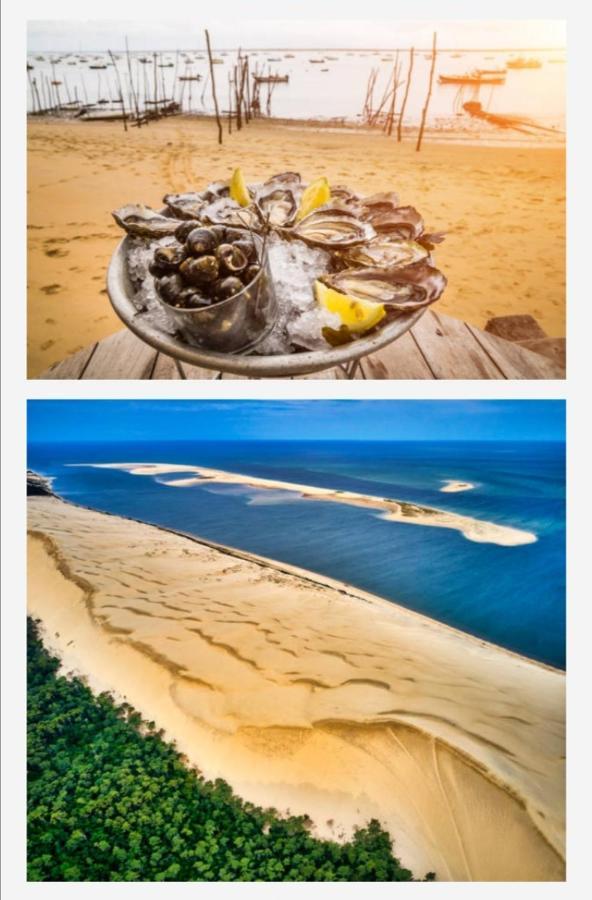 Appartement Vue Sur Baie Et Ocean, 100 M De La Plage Et Du Centre Par Chemin Prive Arcachon Exteriör bild