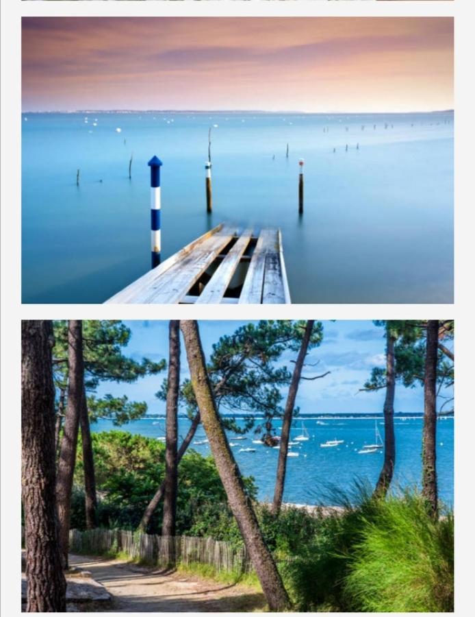 Appartement Vue Sur Baie Et Ocean, 100 M De La Plage Et Du Centre Par Chemin Prive Arcachon Exteriör bild